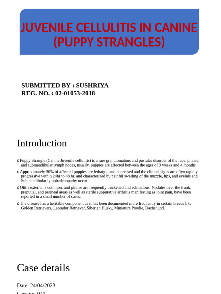 Canine Juvenile Cellulitis Case Study | PDF | Medical Specialties ...