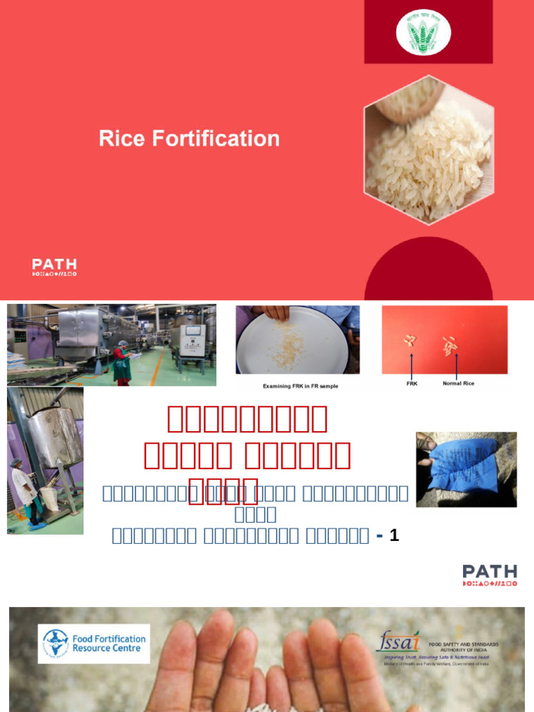 Fortified Rice | PDF