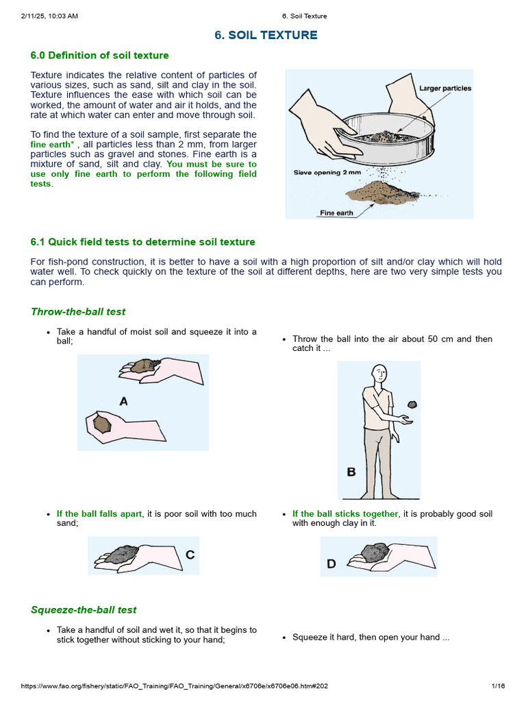 Soil Texture: Field Tests Explained | PDF | Loam | Silt