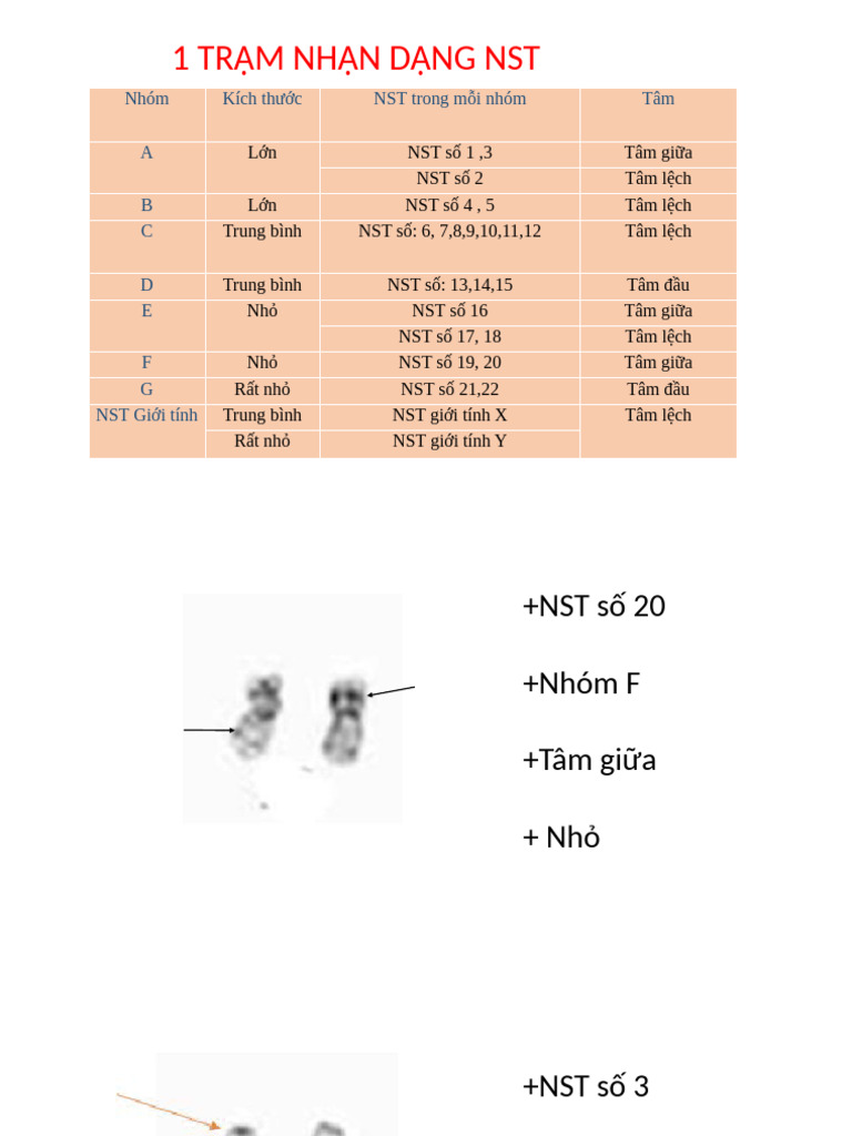 On SHDT | PDF