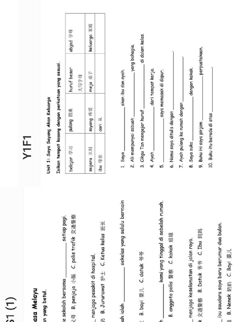 Year1 Exercise BM Paper2 | PDF