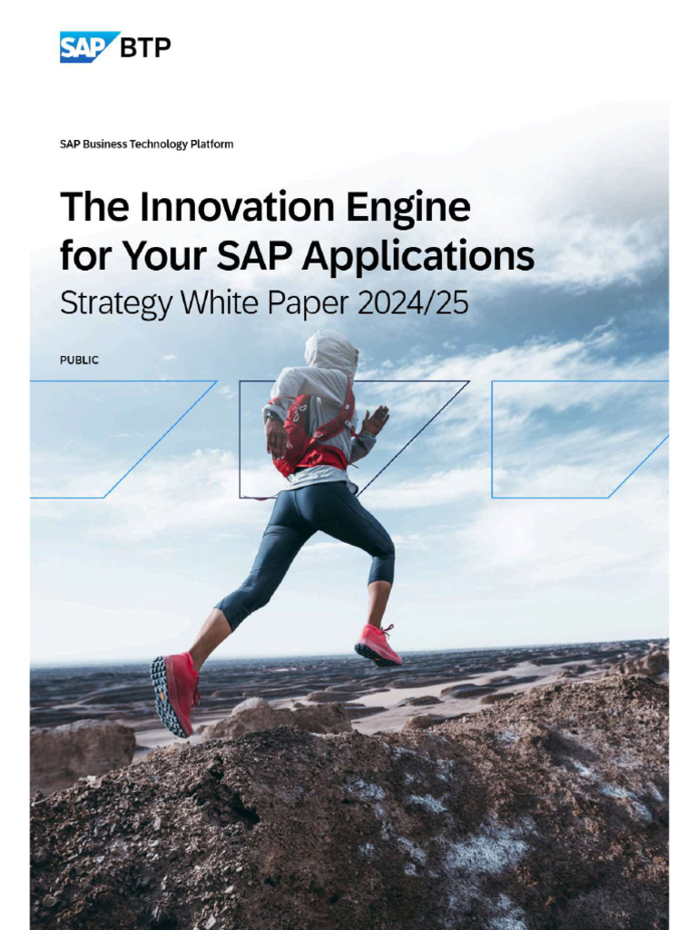 SAP BTP White Paper | PDF