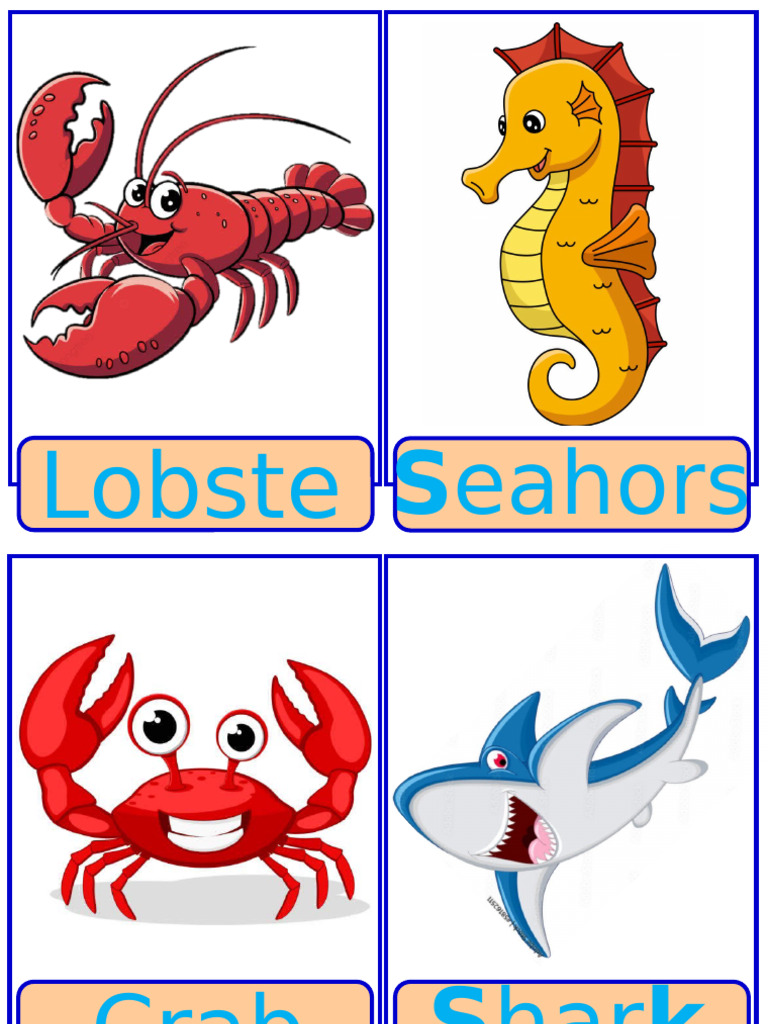 Sea Animals | PDF