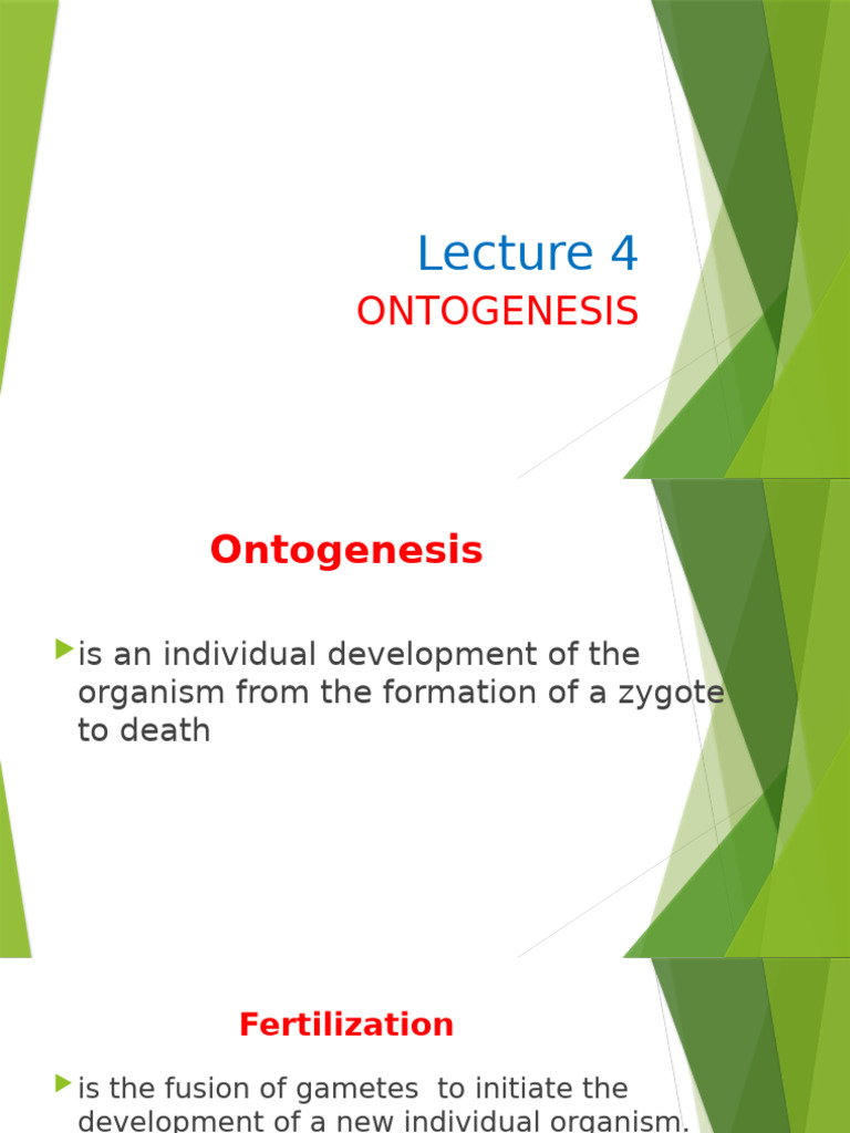 Fertilization and Early Embryonic Development | PDF | Zoology | Life ...
