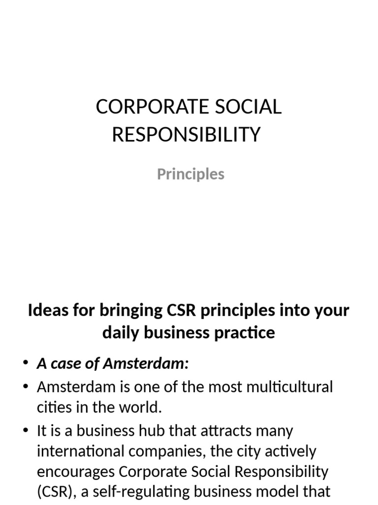 Corporate Social Responsibility Case Study-Amsterdam | PDF | Corporate ...