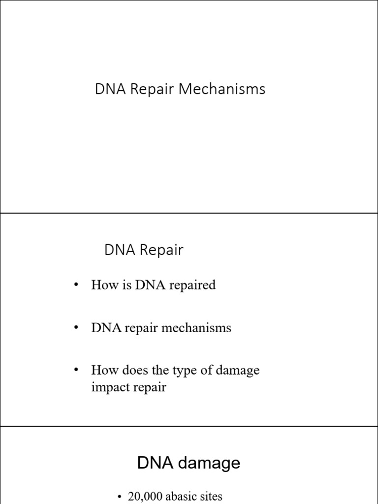 DNA Repair Mechanisms Explained | PDF | Dna Repair | Cell Biology