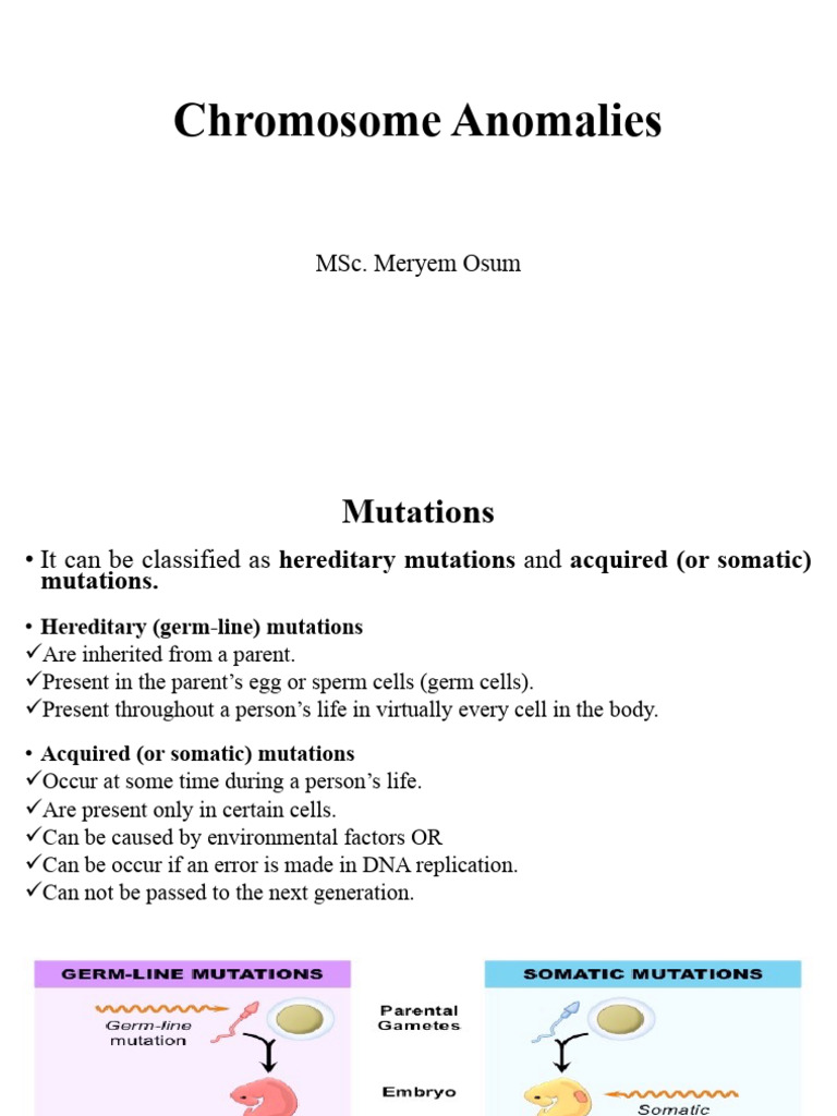 Understanding Chromosome Anomalies and Mutations | PDF | Ploidy | Dna