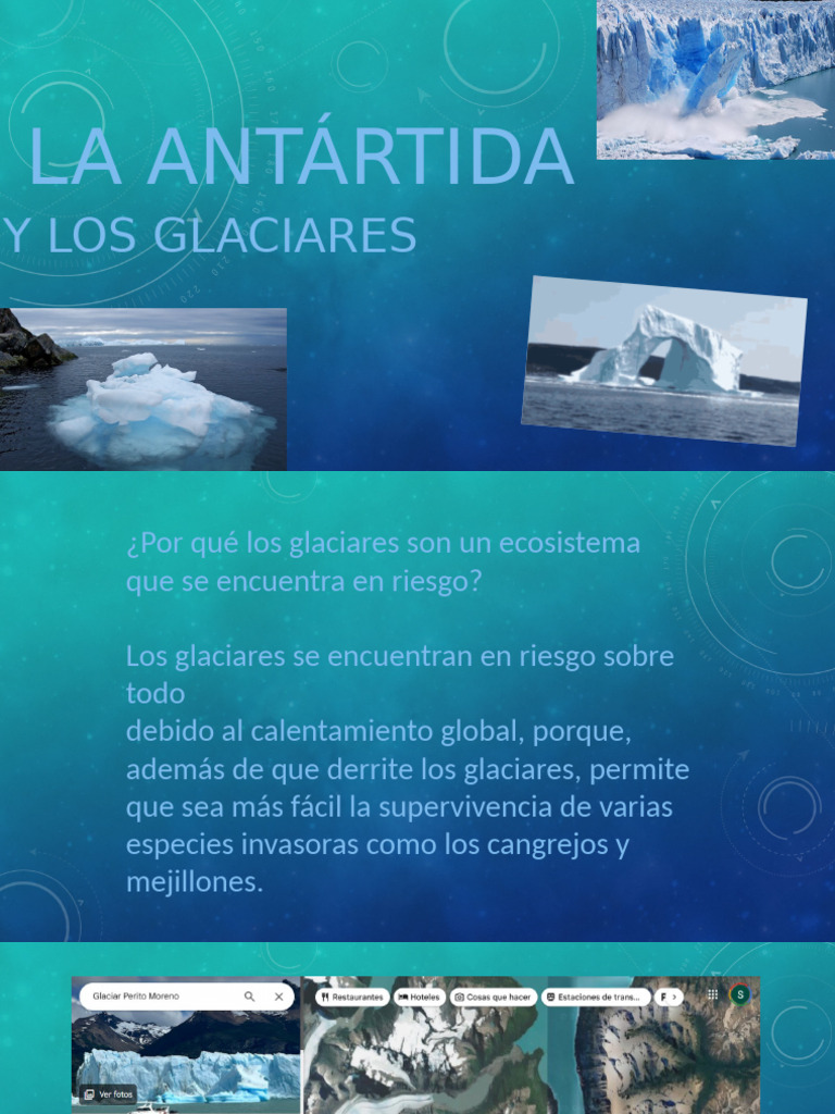 La Antártida y Los Glaciares | PDF | Pingüino | Aves