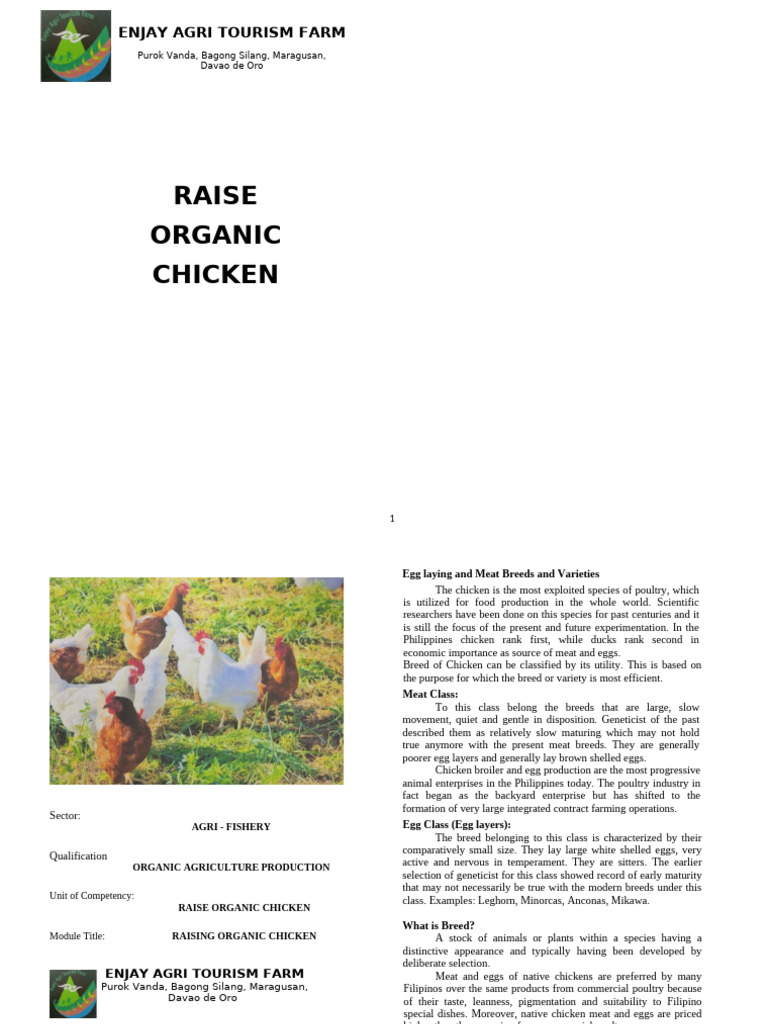 Raising Organic Chickens Guide | PDF | Chicken | Poultry Farming