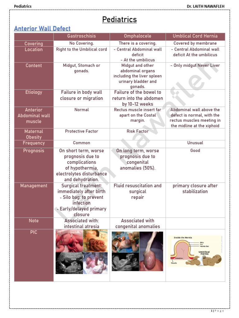 Pediatric Abdominal Wall Defects and Disorders | PDF | Testicle ...