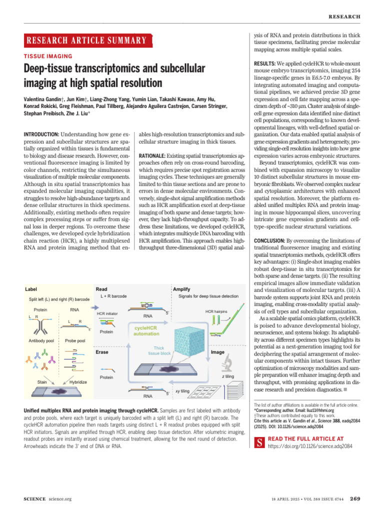 Deep-Tissue Transcriptomics and Subcellular Imaging at High Spatial ...