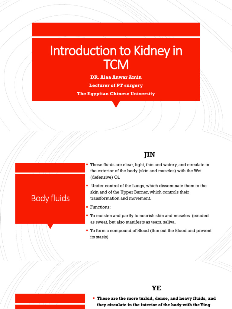 Kidney Functions in TCM and Medicine | PDF | Kidney | Traditional ...