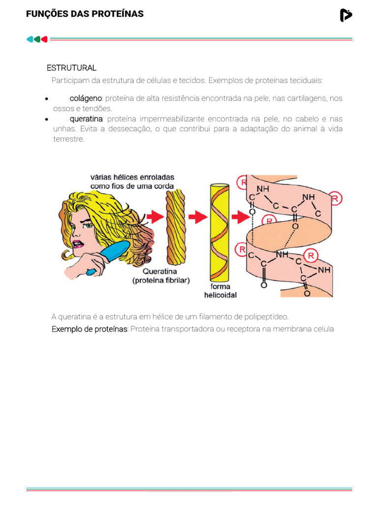6 Funções Das Proteínas | PDF | Anticorpo | Antígeno
