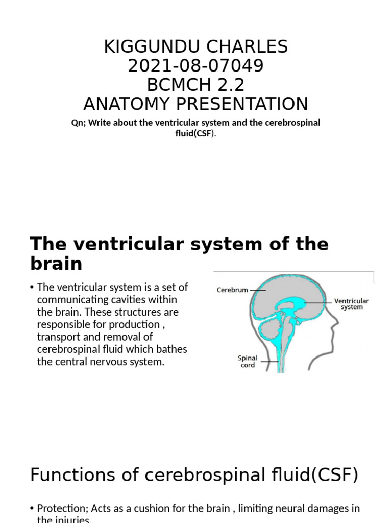 Anatomy Presentation-1 | PDF | Cerebrospinal Fluid | Nervous System