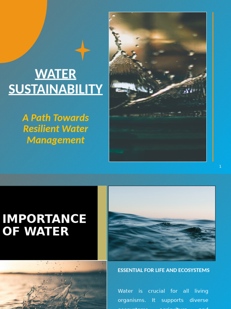 10 Strategies for Water Sustainability | PDF | Water Scarcity | Water