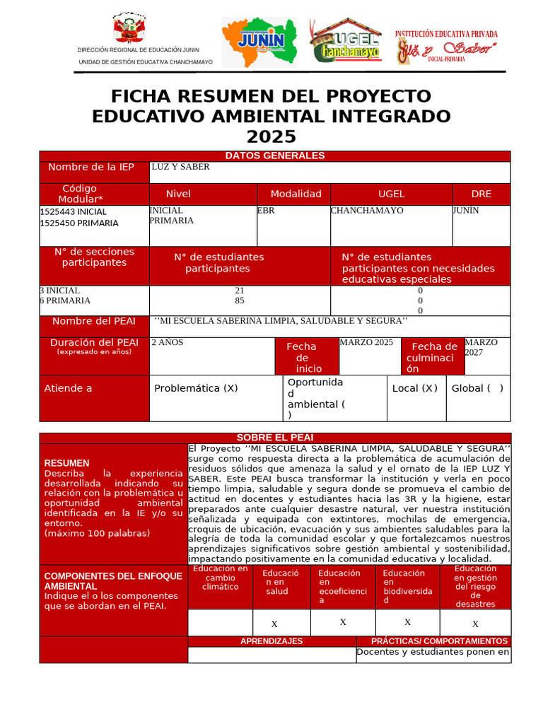 Ficha Resumen Del Proyecto Educativo Ambiental Integrado | PDF ...