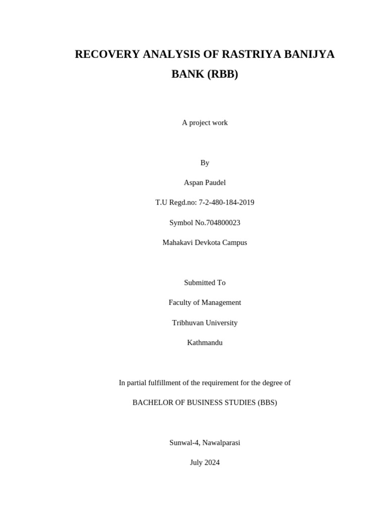 RBB Recovery Analysis Project Report | PDF