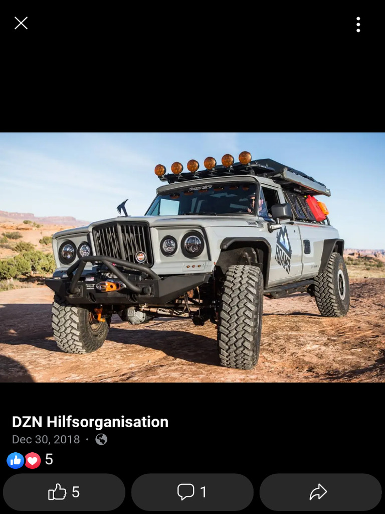 DZN Hilfsorganisation | PDF