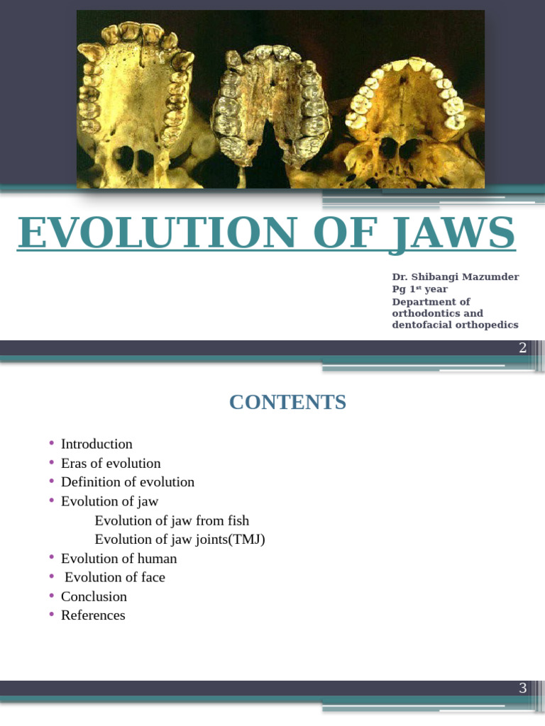 Evolution of Jaws in Vertebrates | PDF | Skull | Jaw