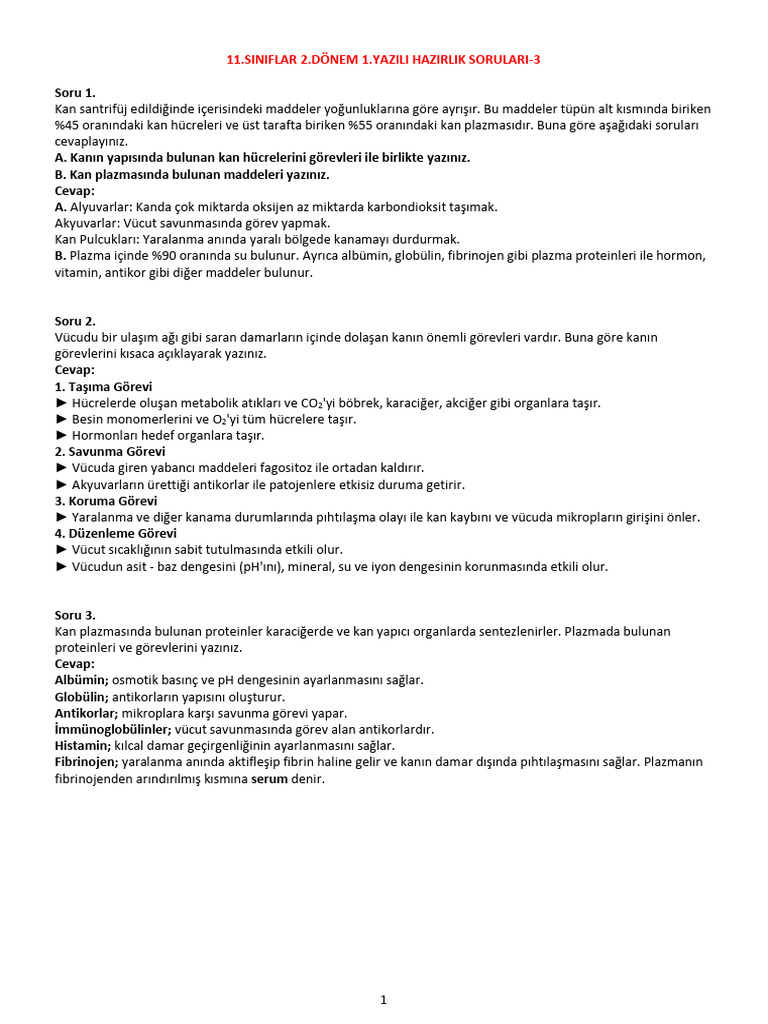 STD 6 | PDF