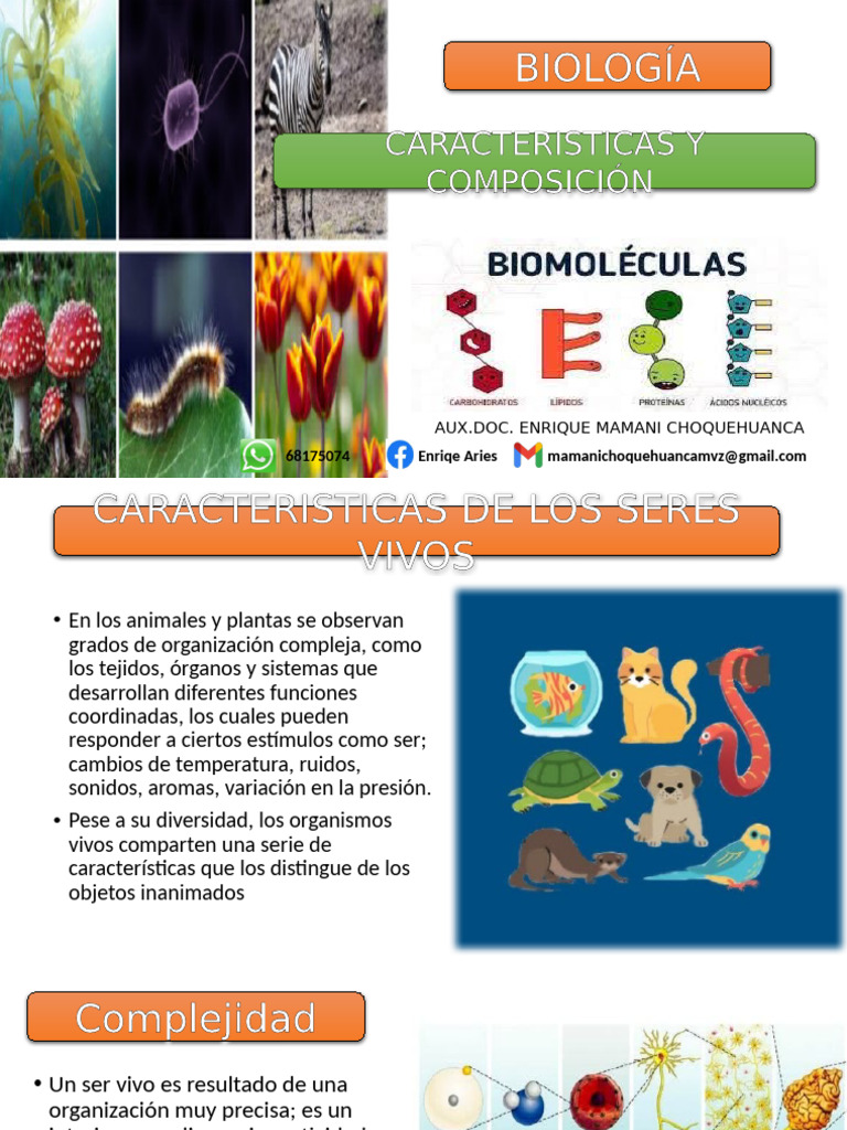 Características y Composición de los Seres Vivos | PDF | Organismos ...