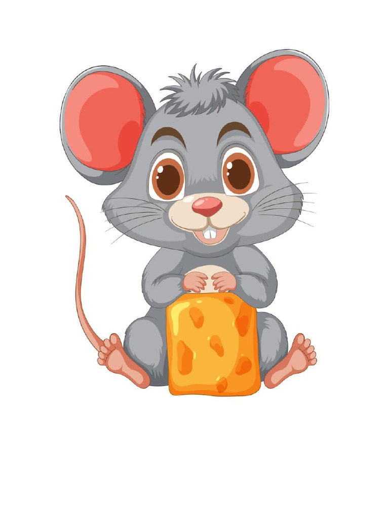 Raton | PDF