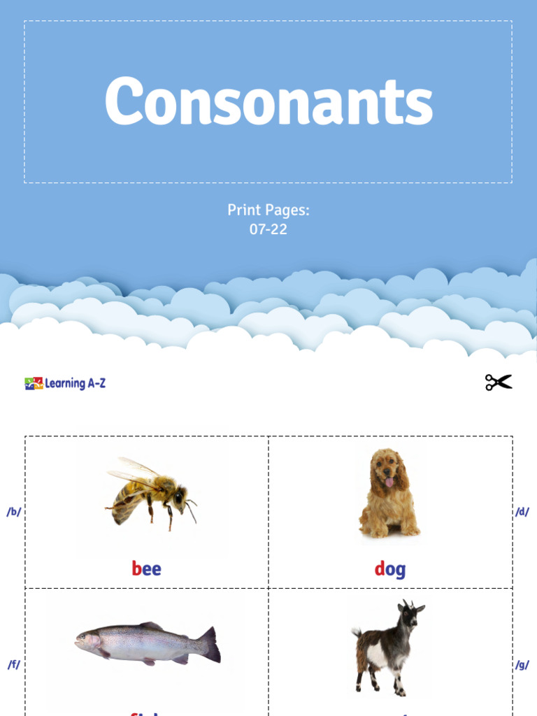 Consonants and Vowel Sounds Guide | PDF | Language Families | Phonology