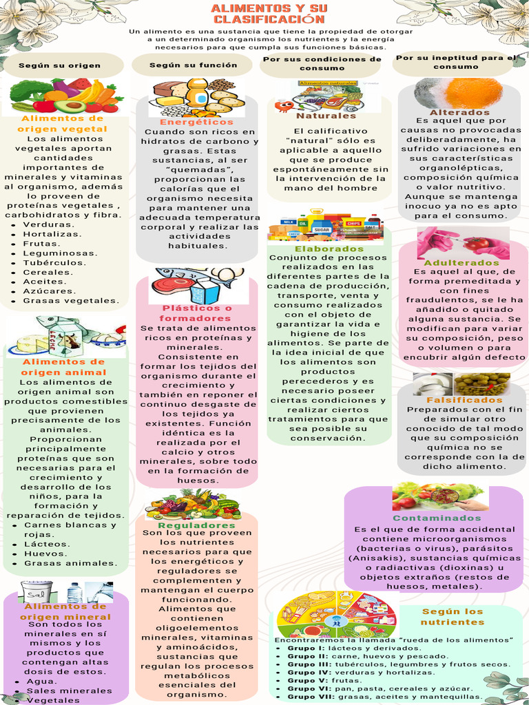 Infografia Pdf Alimentos Nutrientes