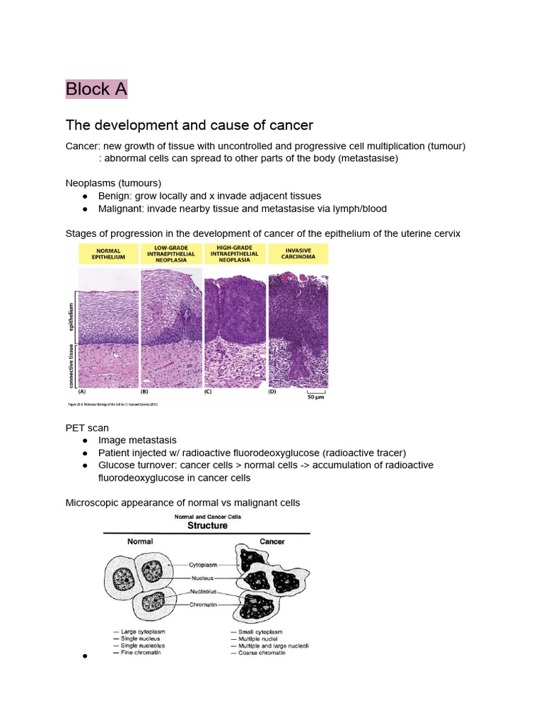 Understanding Cancer Development and Causes | PDF | Cervical Cancer ...