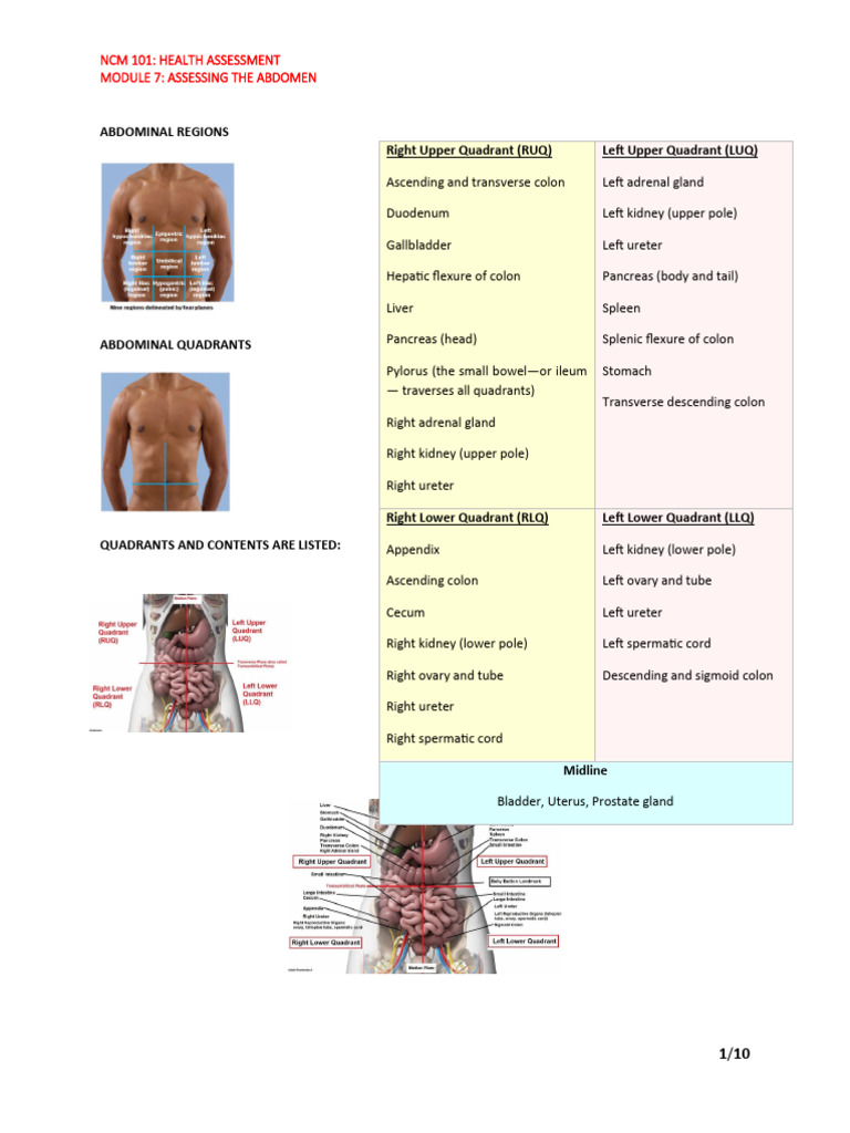 Abdominal Assessment Techniques Guide | PDF | Abdomen | Bloating