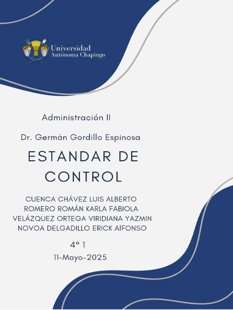 Estándar de Control | PDF