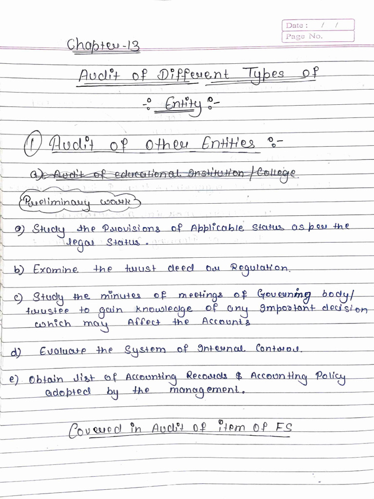 Audit of Different Types of Entity - Notes | PDF