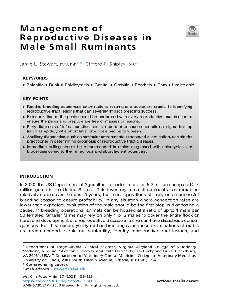 Managing Male Ruminant Reproductive Health | PDF | Testicle | Infection