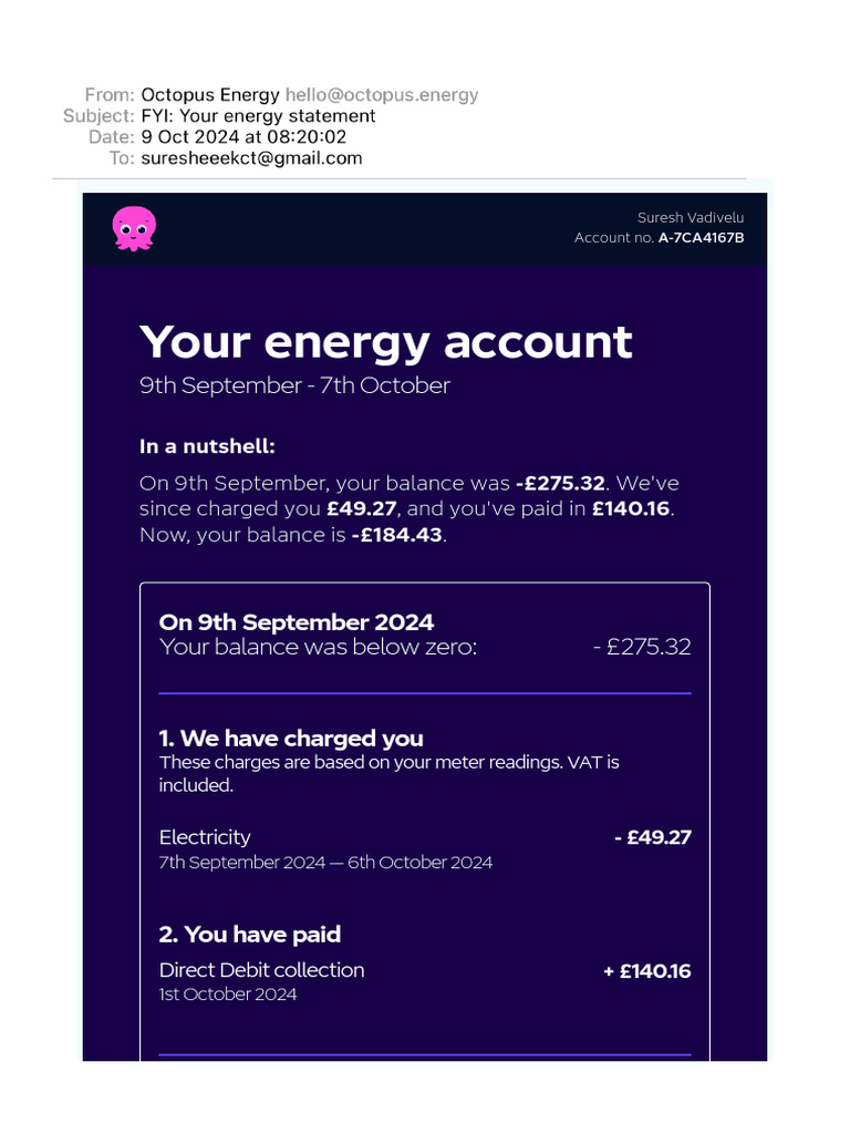 FYI Your Energy Statement | PDF