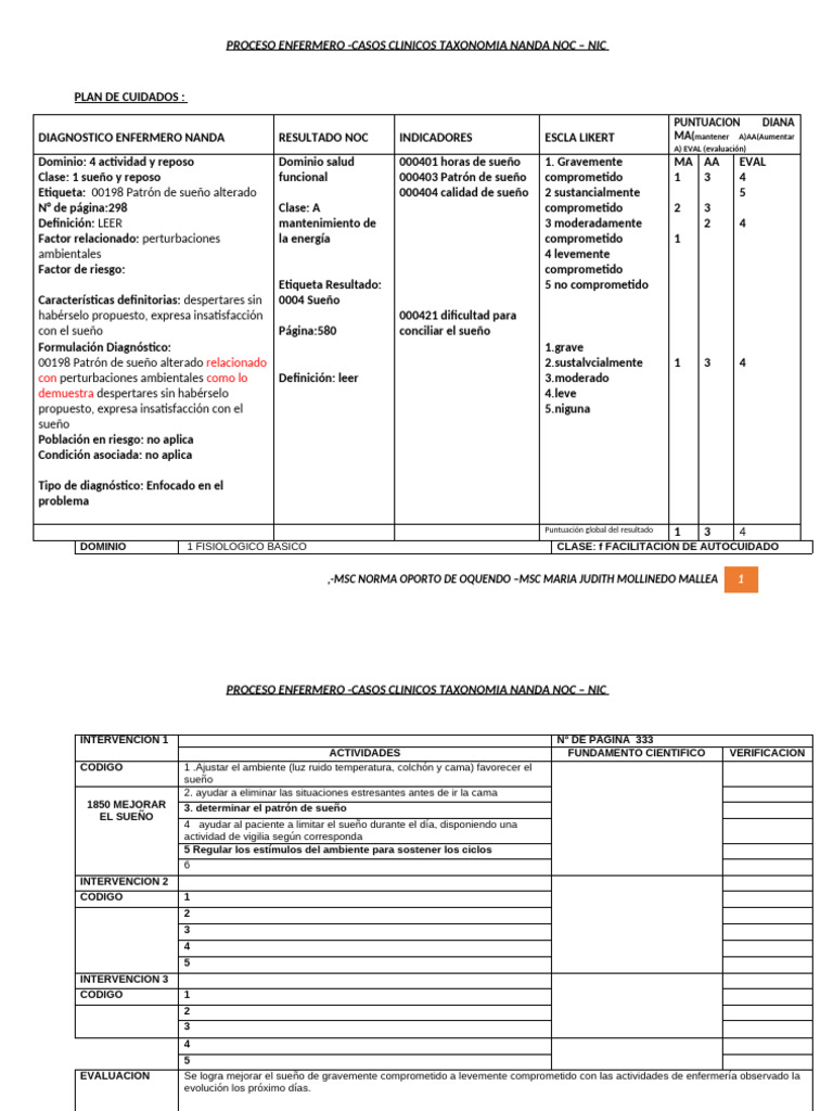 Formato de Plan de Cuidados Enf 300 2025 | PDF | Dormir | Cuidado de la ...