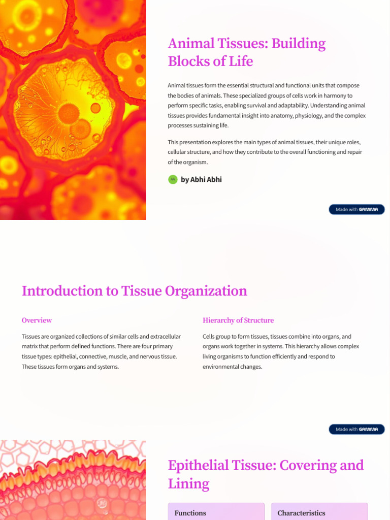 Animal Tissues Building Blocks of Life | PDF | Tissue (Biology ...