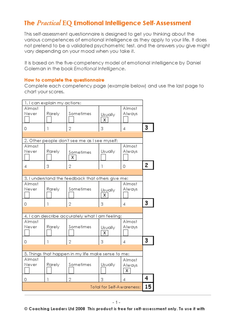 Debbie Mcgee Emotional Intelligence Self Assessment Pdf Self Awareness Emotional Intelligence