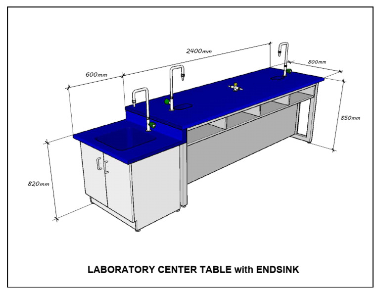 Bio Chem Table With End Sink | PDF