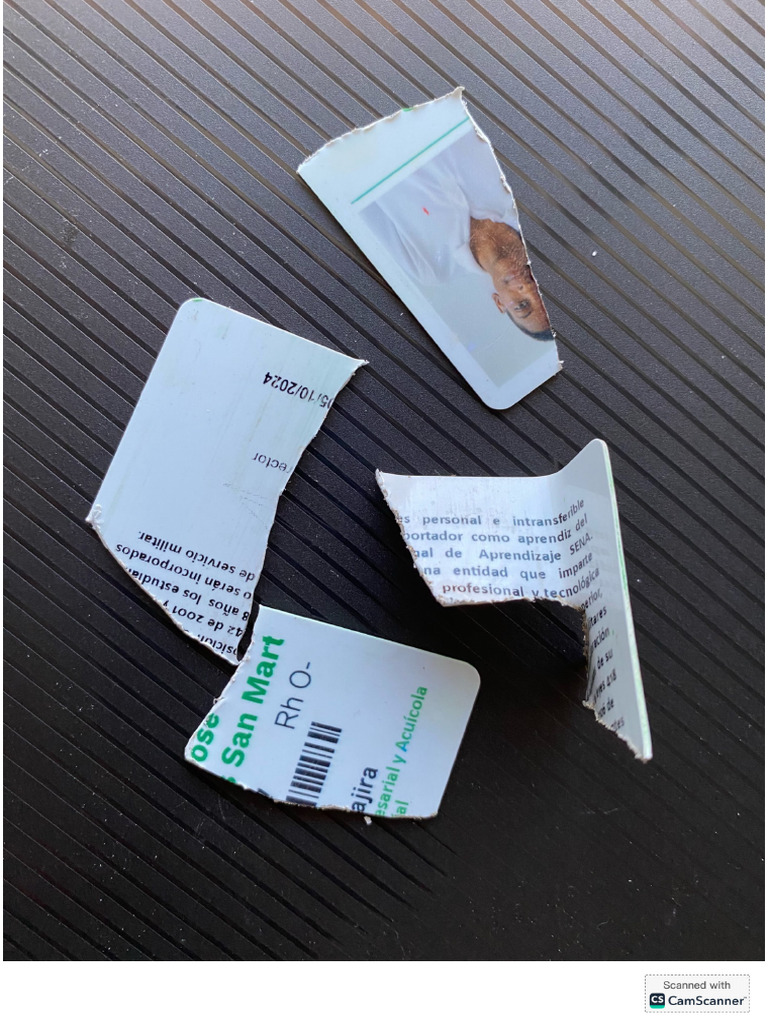 Carnet Destruido | PDF