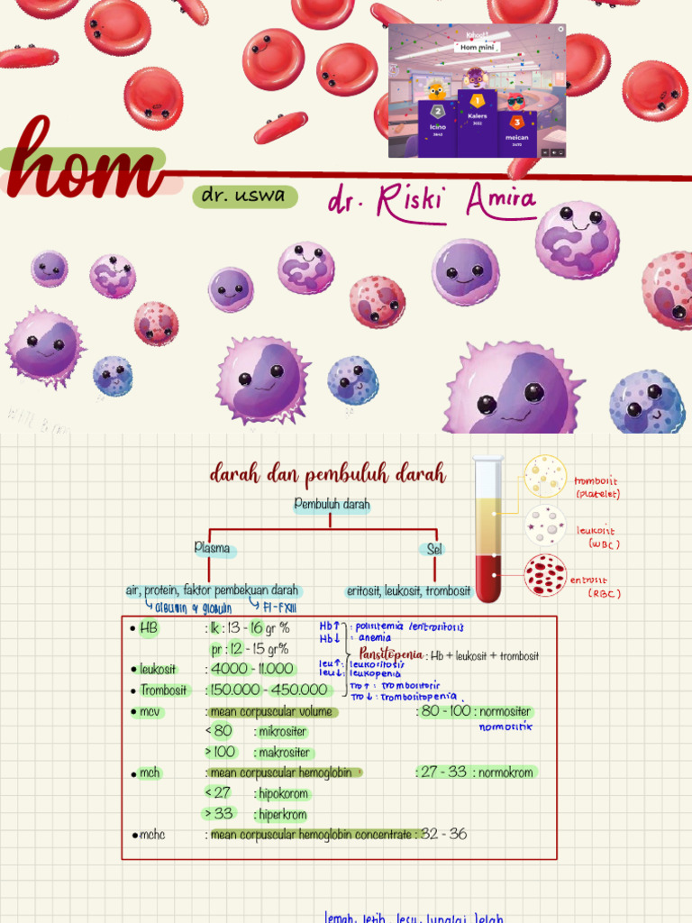Anemia and Blood Disorders Overview | PDF