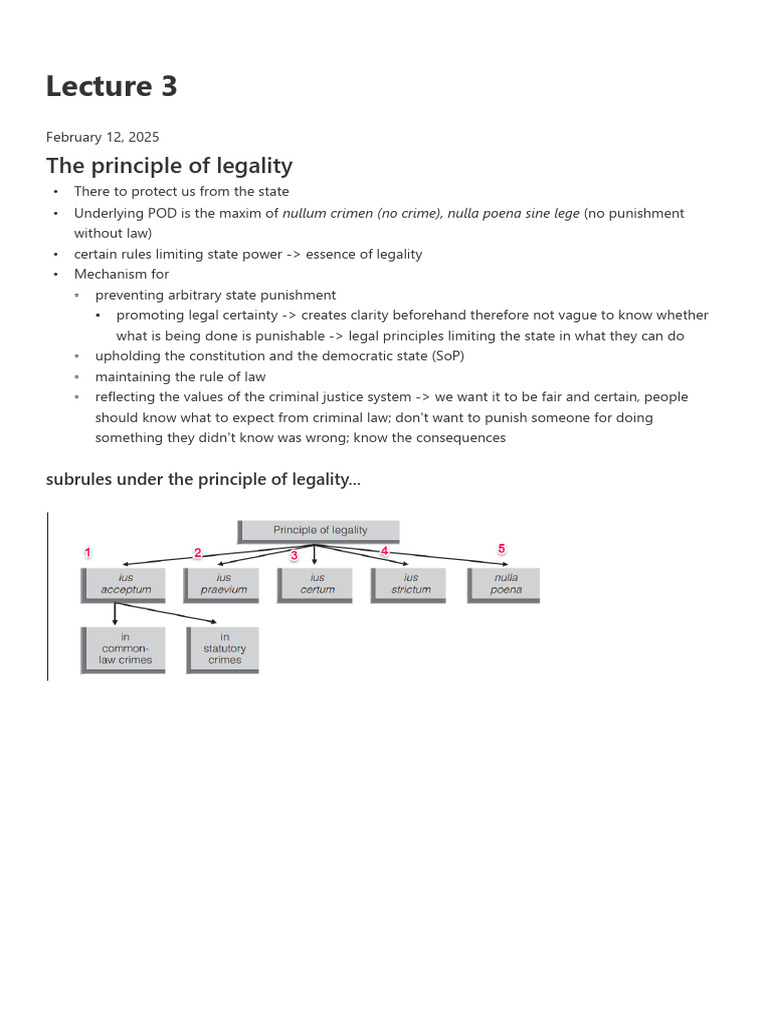 Understanding the Principle of Legality | PDF | Crimes | Crime & Violence