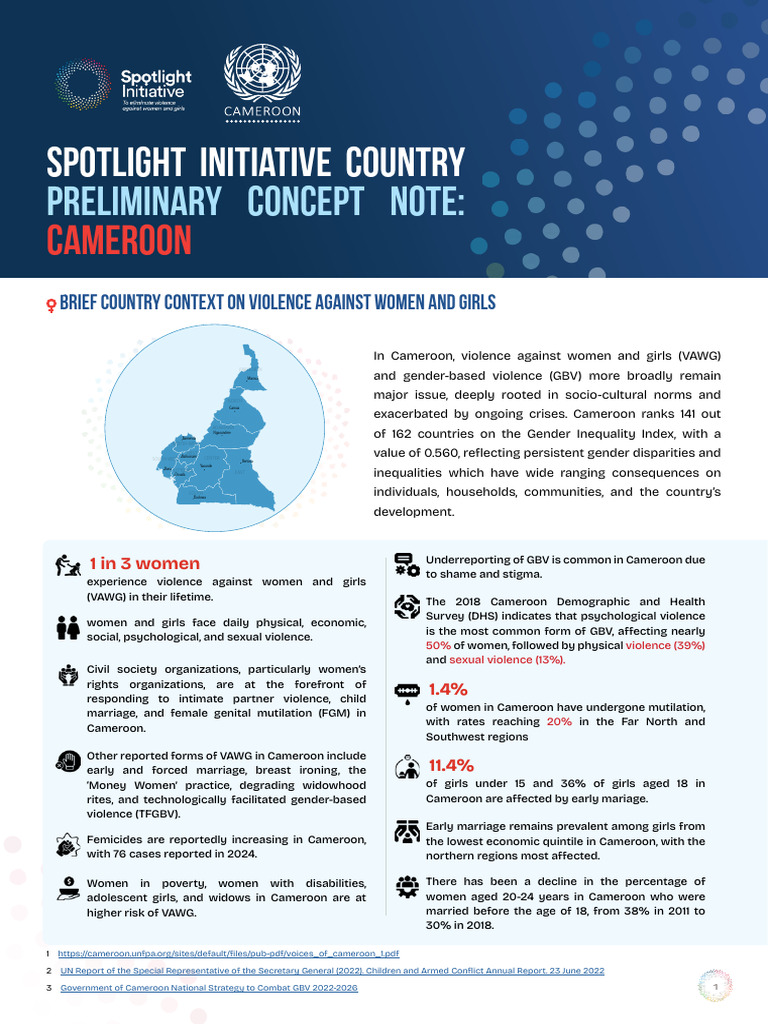 Violence Against Women in Cameroon | PDF | Violence | Governance