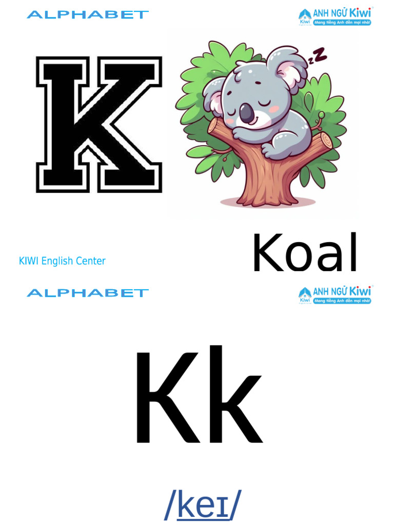 K Koala | PDF