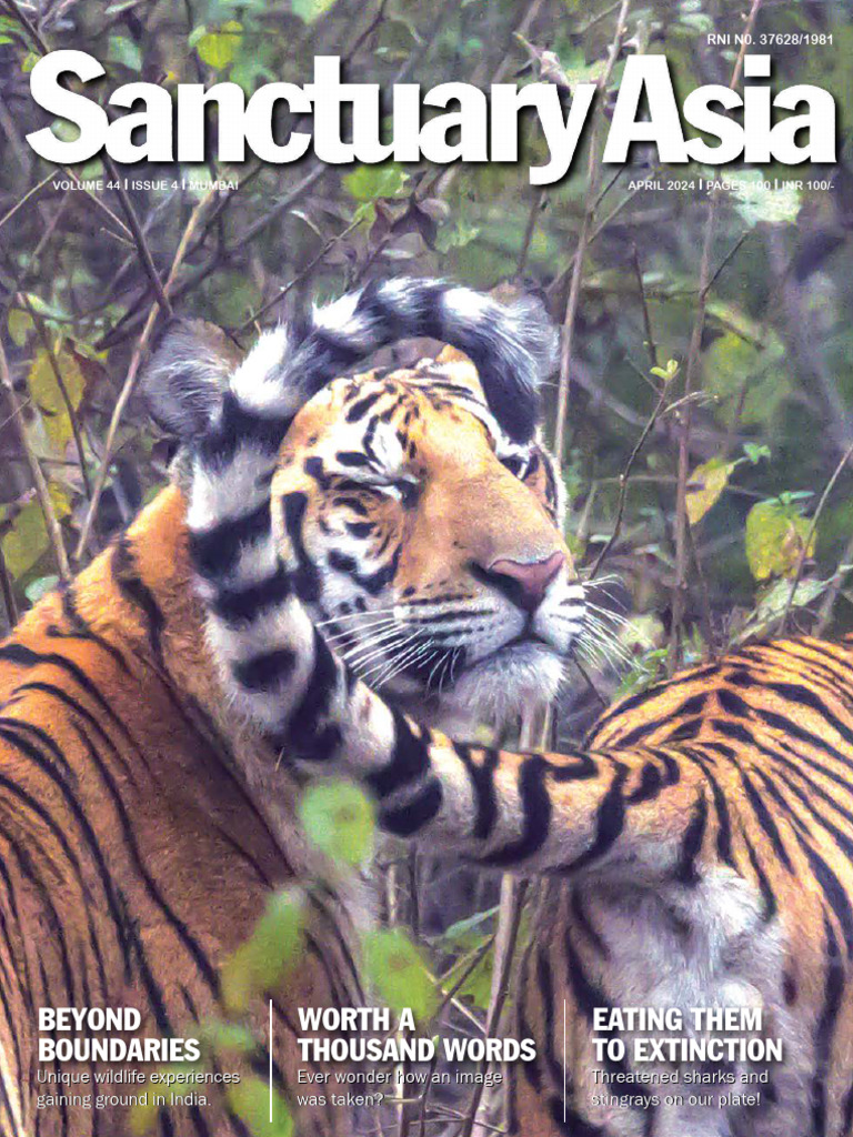 Wildlife Conservation in India: April 2024 | PDF | Biodiversity ...