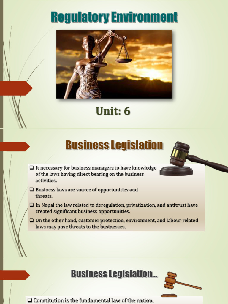 Unit 6 Regulatory Environment (1) | PDF | Goods | Business