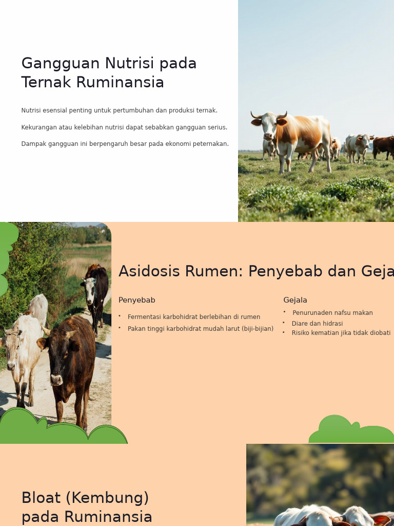 Gangguan Nutrisi Pada Ternak Ruminansia | PDF