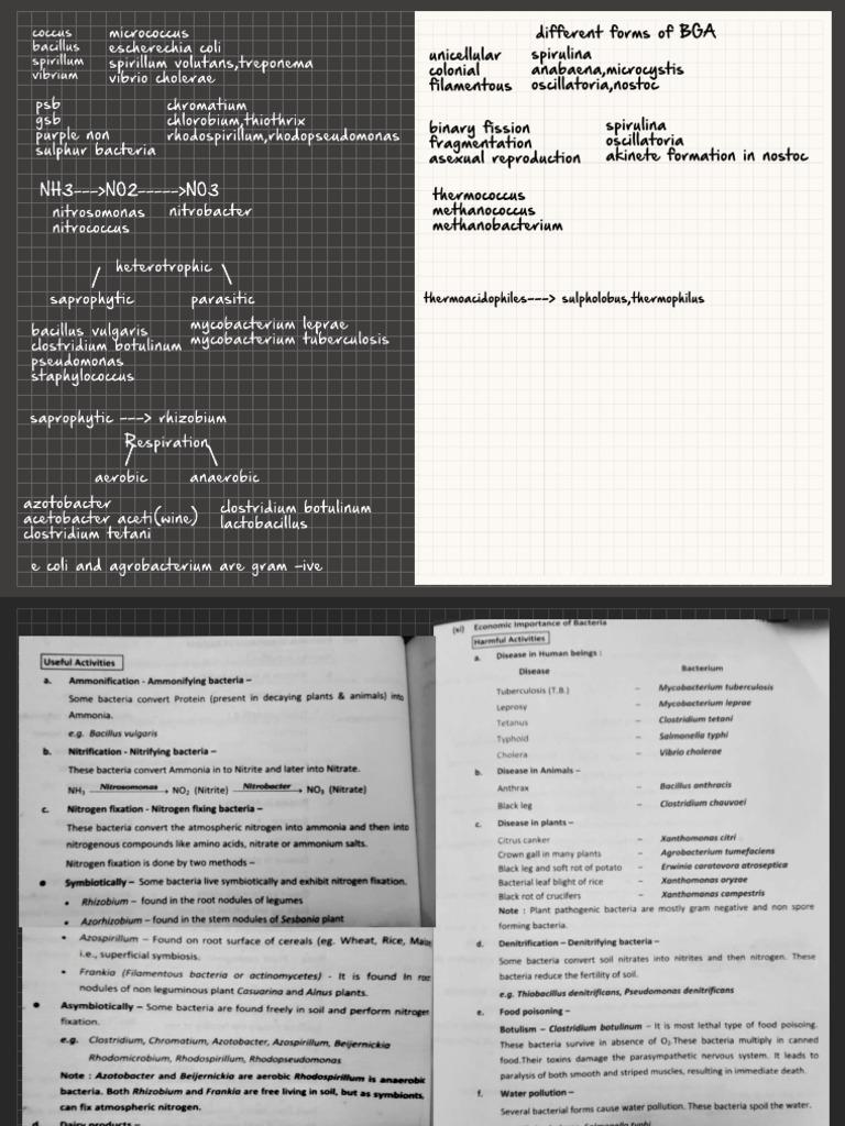 Scratch Paper | PDF