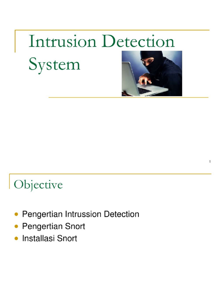 IDS Powerpoint | PDF