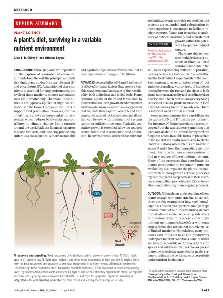 Plant Nutrient Acquisition Strategies | PDF | Plant Nutrition | Root