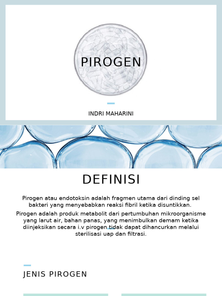 Pirog en | PDF